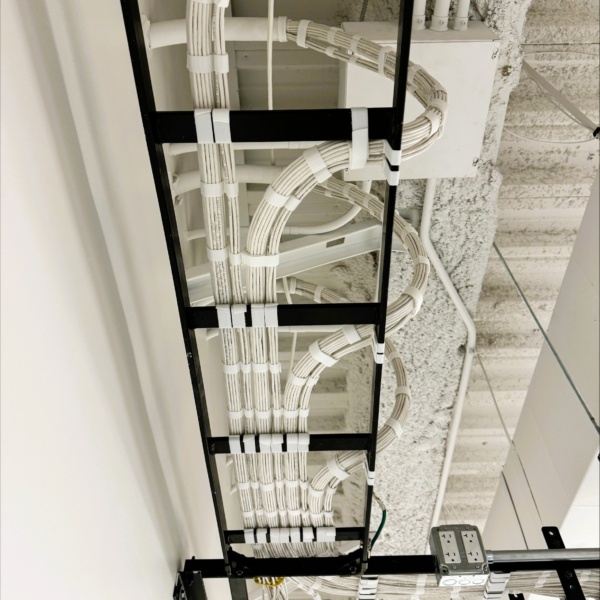 Organized low-voltage cabling routed through an overhead cable tray.