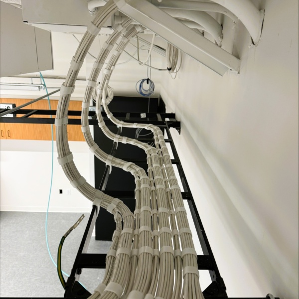 Bundled low-voltage cables routed through an overhead cable tray.