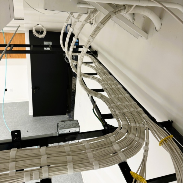 Structured cabling routed from ceiling conduit into cable tray.